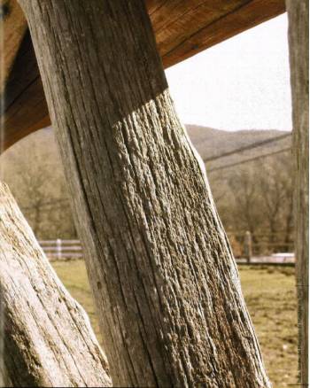 madera lamas